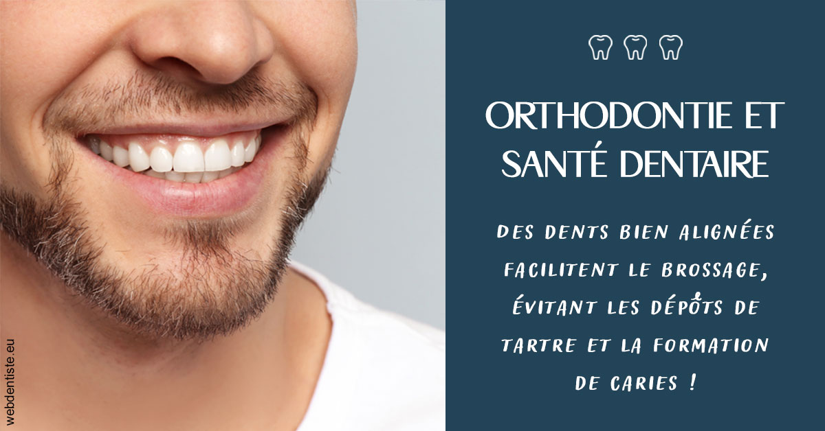 https://www.dr-vincent-stephane.fr/Orthodontie et santé dentaire 2