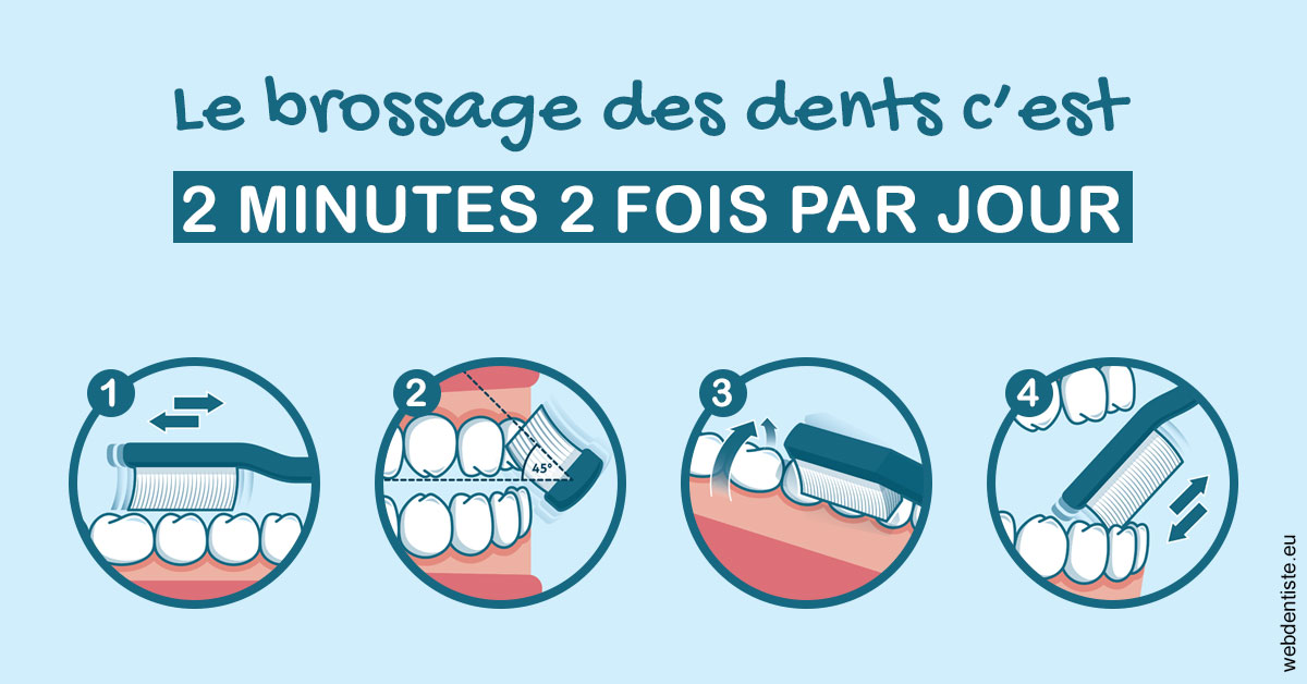 https://www.dr-vincent-stephane.fr/Les techniques de brossage des dents 1