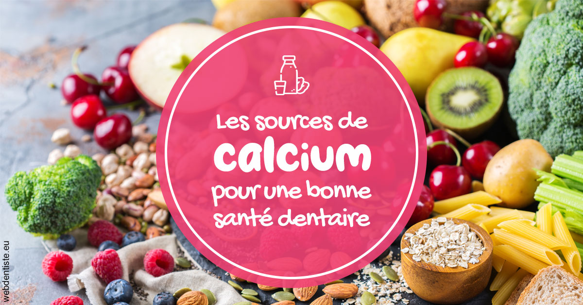 https://www.dr-vincent-stephane.fr/Sources calcium 2