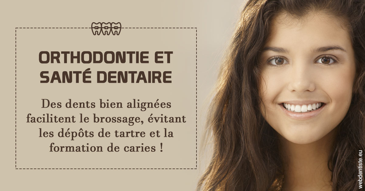 https://www.dr-vincent-stephane.fr/Orthodontie et santé dentaire 1