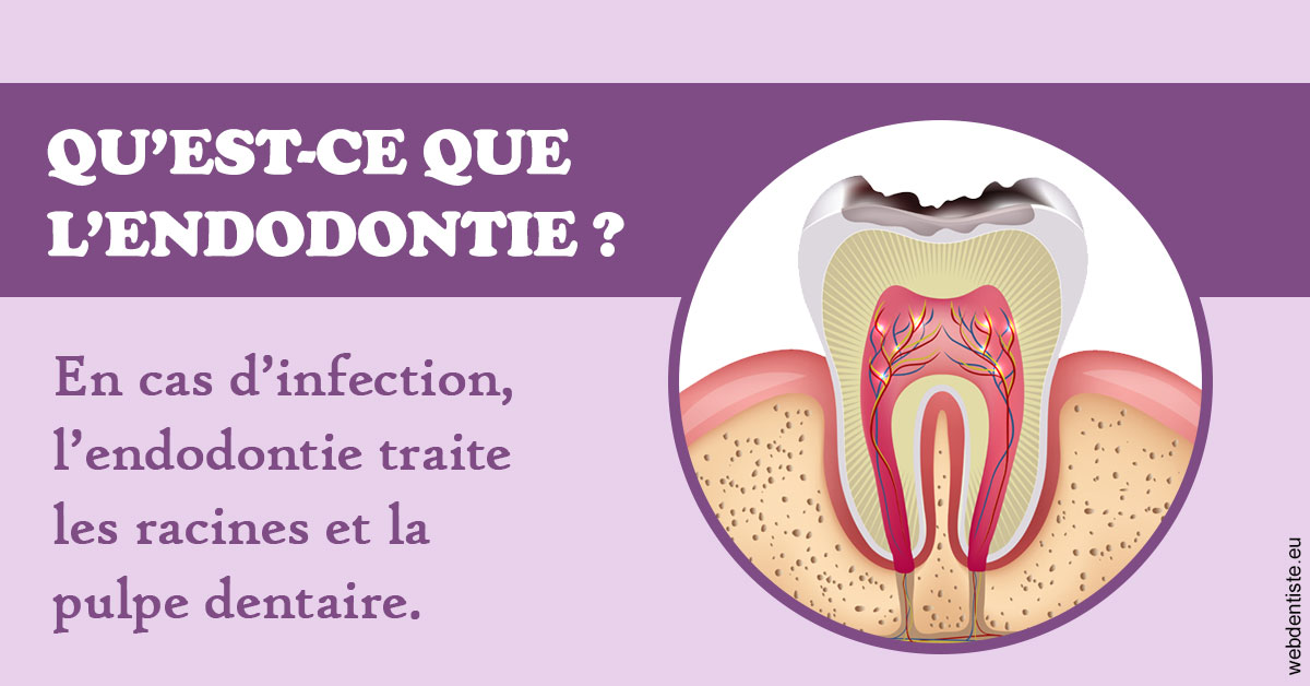 https://www.dr-vincent-stephane.fr/2024 T1 - Endodontie 02