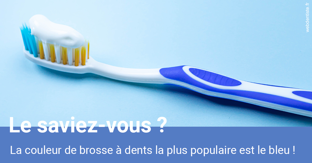 https://www.dr-vincent-stephane.fr/Couleur de brosse à dents