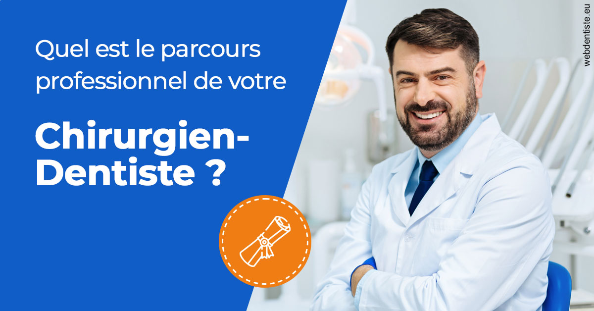 https://www.dr-vincent-stephane.fr/Parcours Chirurgien Dentiste 1