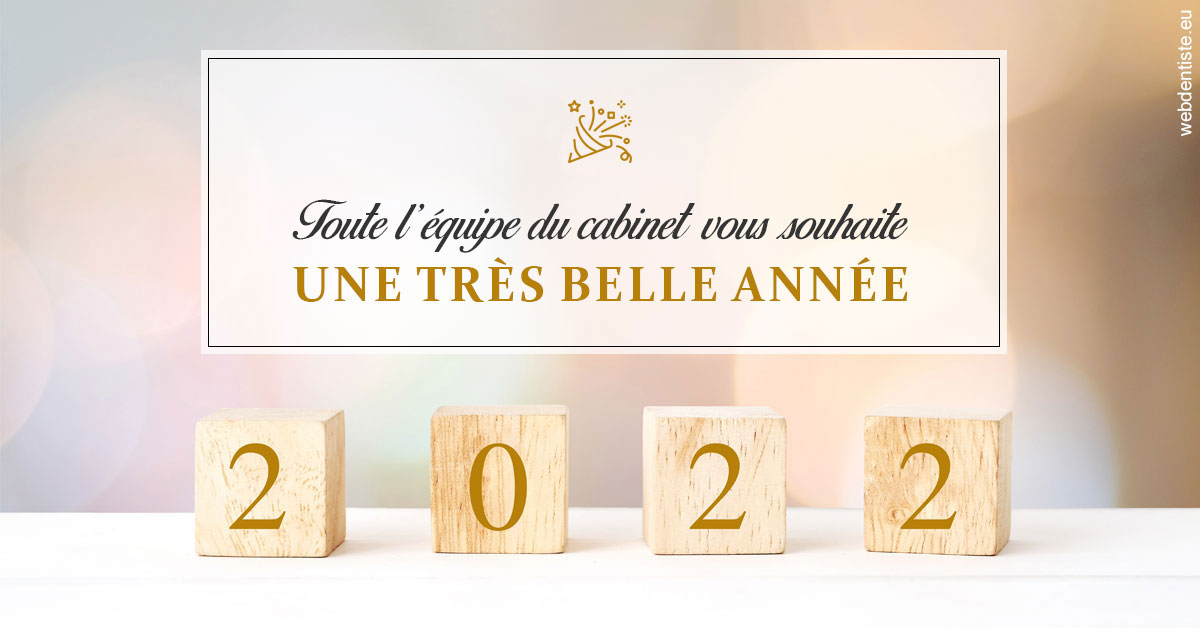 https://www.dr-vincent-stephane.fr/Belle Année 2022 1