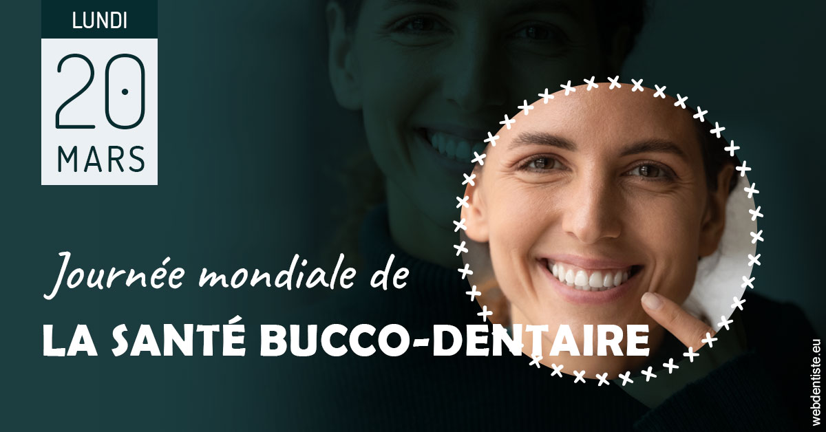 https://www.dr-vincent-stephane.fr/Journée de la santé bucco-dentaire 2023 2
