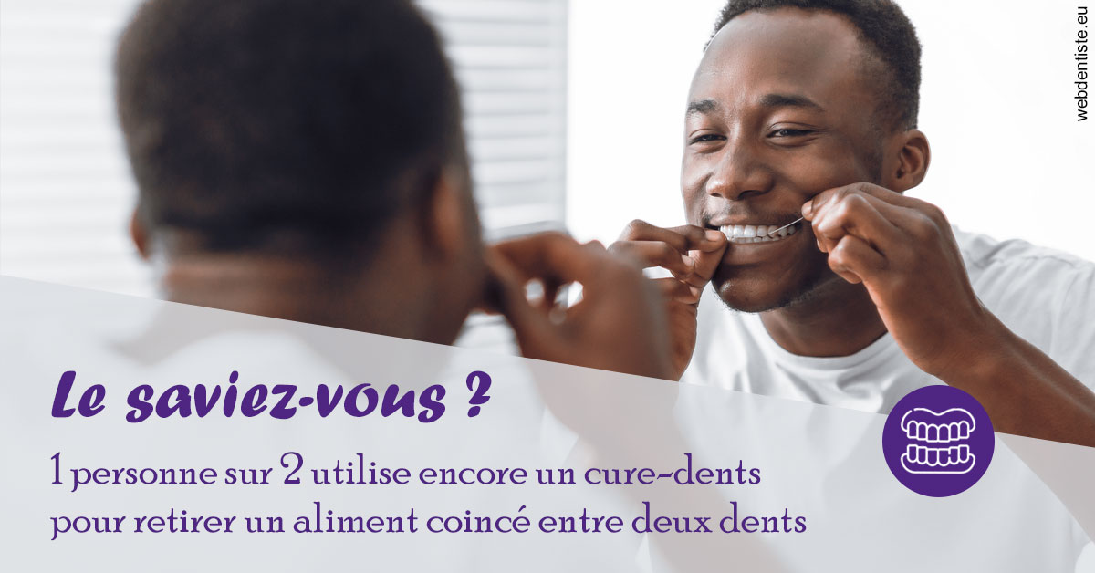 https://www.dr-vincent-stephane.fr/Cure-dents 2