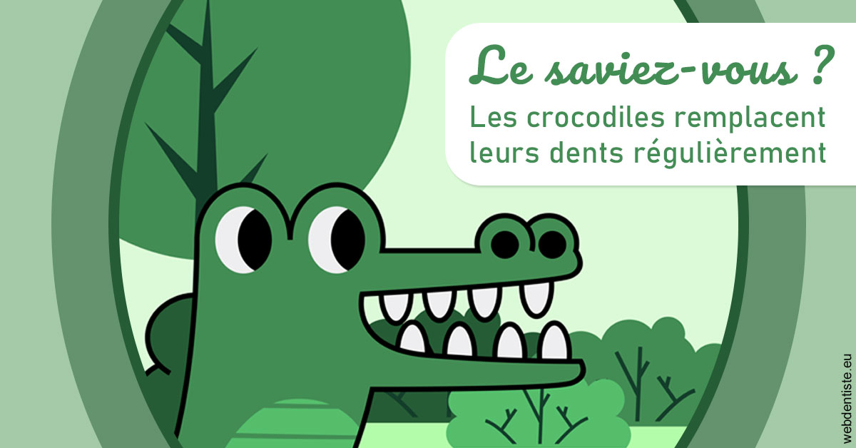 https://www.dr-vincent-stephane.fr/Crocodiles 2