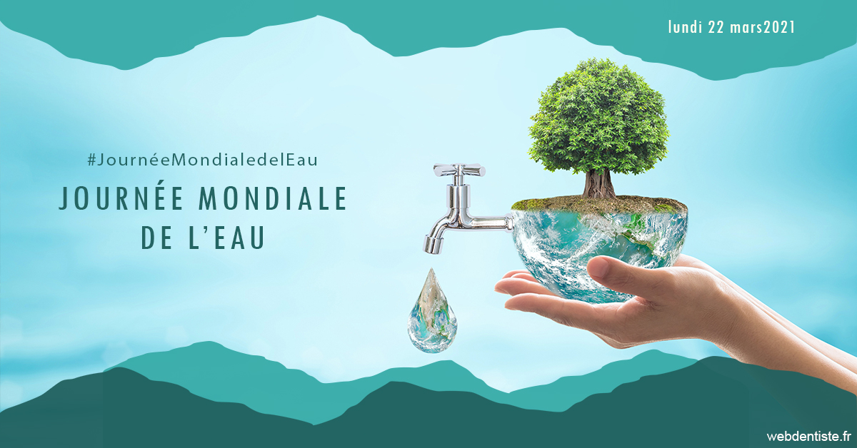 https://www.dr-vincent-stephane.fr/Journée de l'eau 1