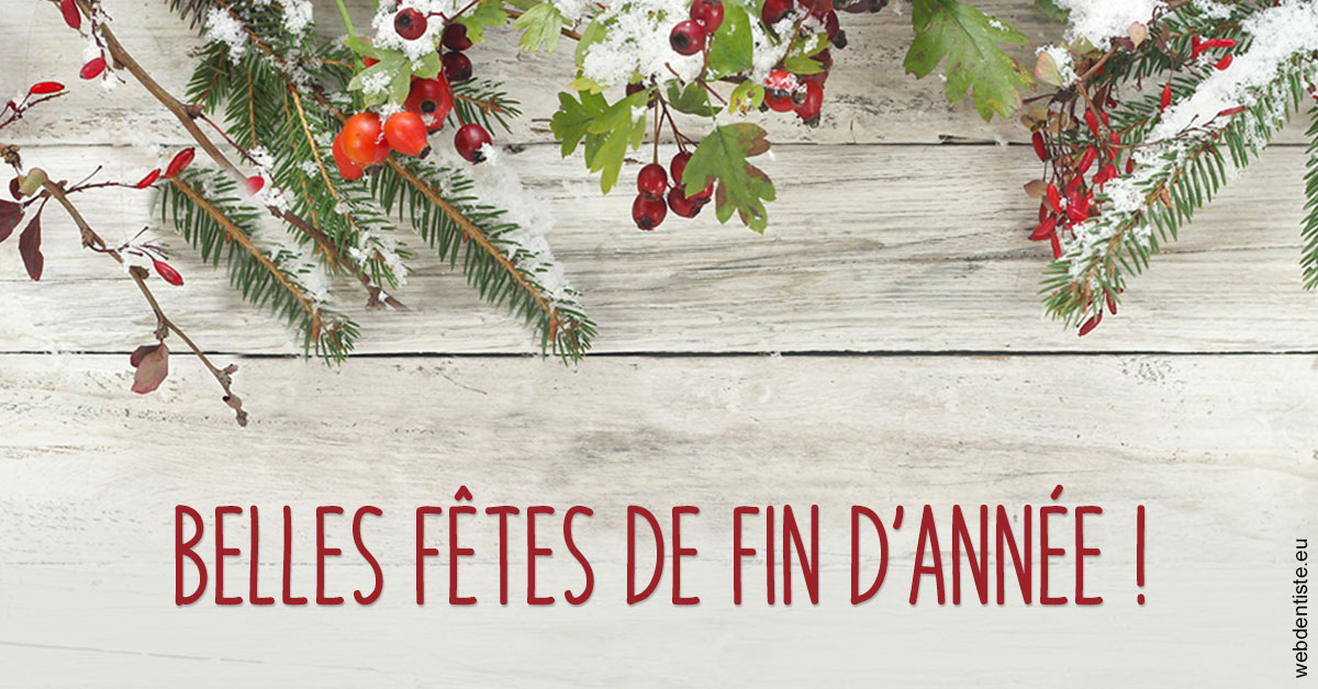https://www.dr-vincent-stephane.fr/Joyeux Noël 2