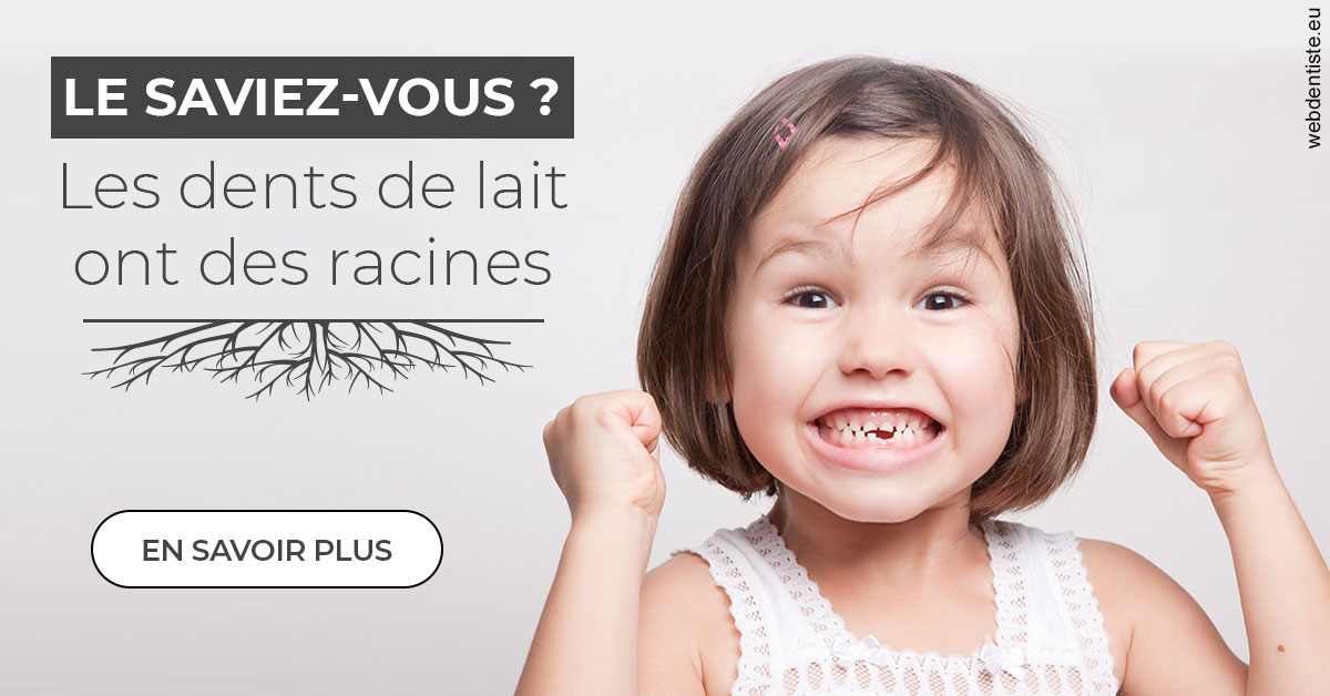 https://www.dr-vincent-stephane.fr/Les dents de lait