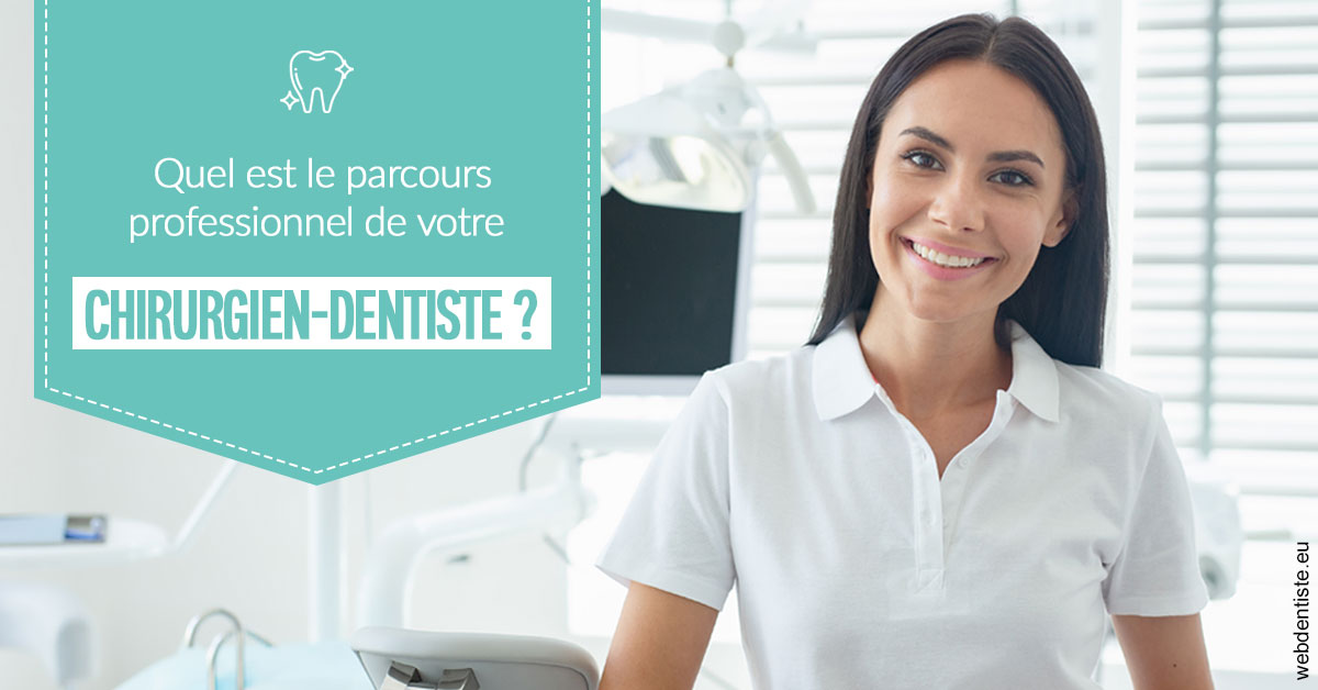 https://www.dr-vincent-stephane.fr/Parcours Chirurgien Dentiste 2