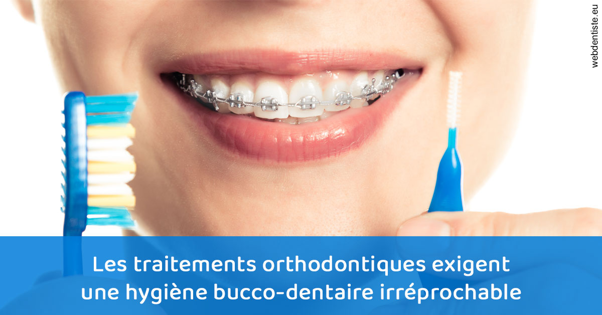 https://www.dr-vincent-stephane.fr/Orthodontie hygiène 1