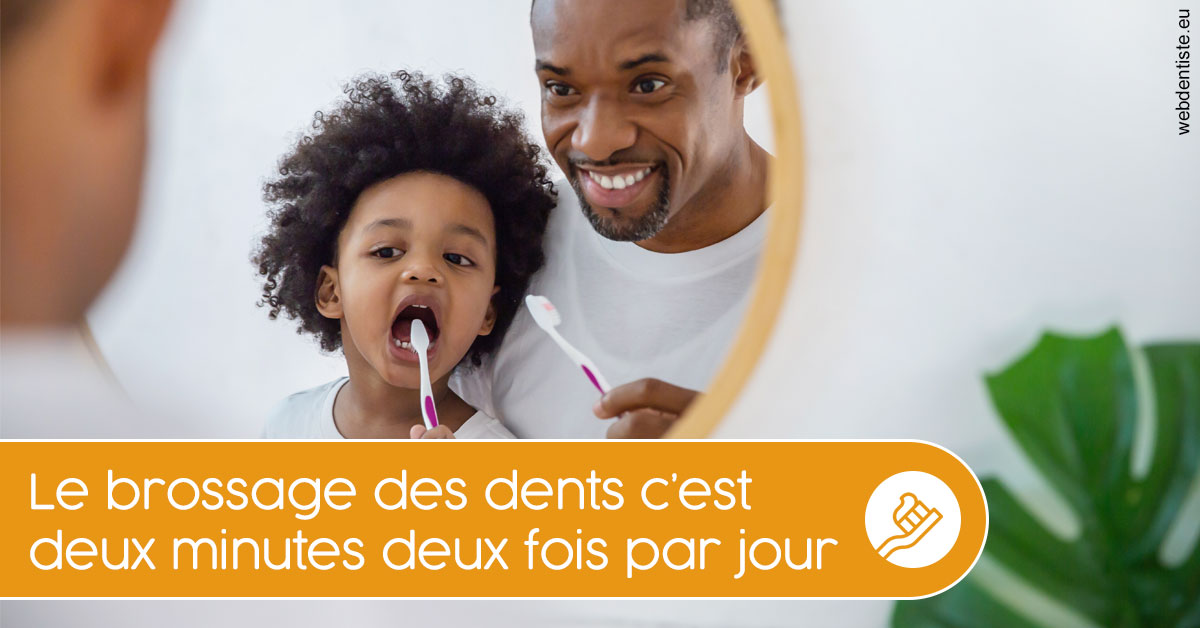 https://www.dr-vincent-stephane.fr/Les techniques de brossage des dents 2