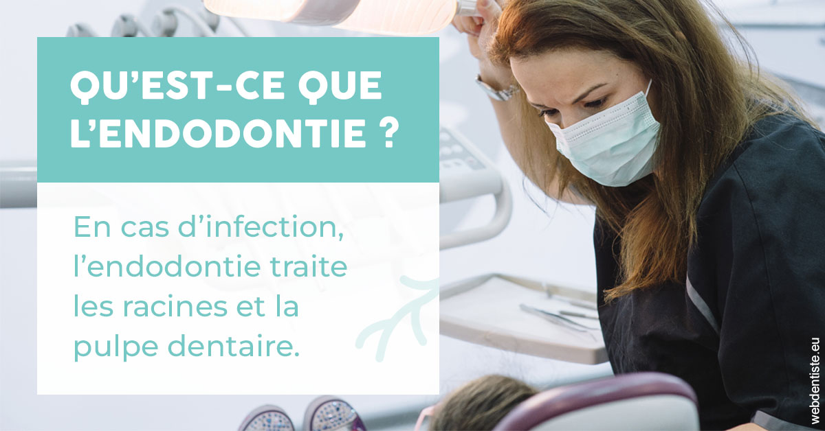 https://www.dr-vincent-stephane.fr/2024 T1 - Endodontie 01