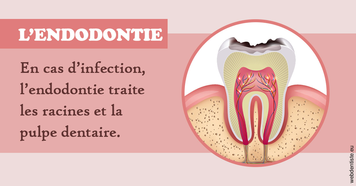 https://www.dr-vincent-stephane.fr/L'endodontie 2